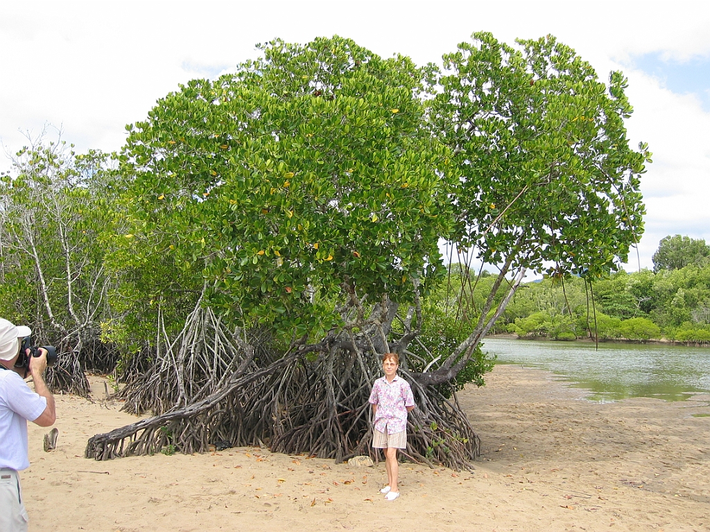 158 Machans Beach.jpg